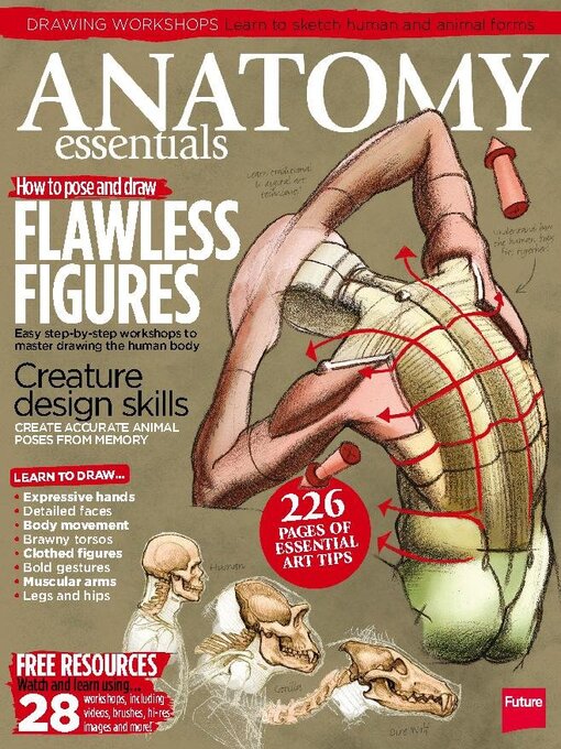 Cover image for Anatomy Essentials: Anatomy Essentials